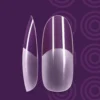 Andreia Professional Pro Extend Tips Medium Round