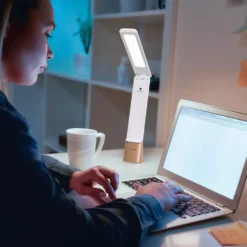 Daylight Smart Go Portable Task Lamp