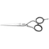 Jaguar Silver Line CJ4 Plus Offset Scissors 6.0 inch