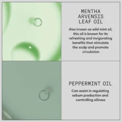 Nioxin Hair Booster Serum Advanced Leave-In Hair Treatment for Progressed Thinning 100ml