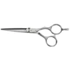 Saiza Scissors Tarantula 5.5 inch