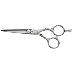 Saiza Scissors Tarantula 5.5 inch