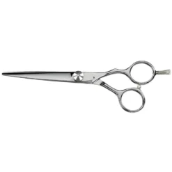 Saiza Scissors Tarantula 6 inch