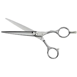 Saiza Scissors Tarantula 6 inch