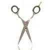 Salon Services S1 Scissors 5.5 Inch