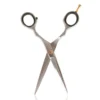 Salon Services S1 Scissors 6 Inch