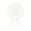 Salon Services Unpainted Colour Wheels Pack of 5