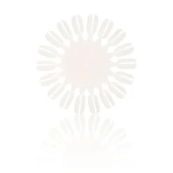 Salon Services Unpainted Colour Wheels Pack of 5