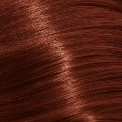 Schwarzkopf Professional Igora Royal Absolutes Permanent Hair Colour - 6-60 Dark Blonde Chocolate Natural 60ml