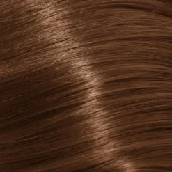 Schwarzkopf Professional Igora Royal Absolutes Permanent Hair Colour - 6-60 Dark Blonde Chocolate Natural 60ml
