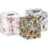 Softy 3-Ply Facial Tissues, Pack of 56