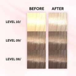 Wella Professionals Shinefinity Zero Lift Glaze - 010/6 Violet 60ml